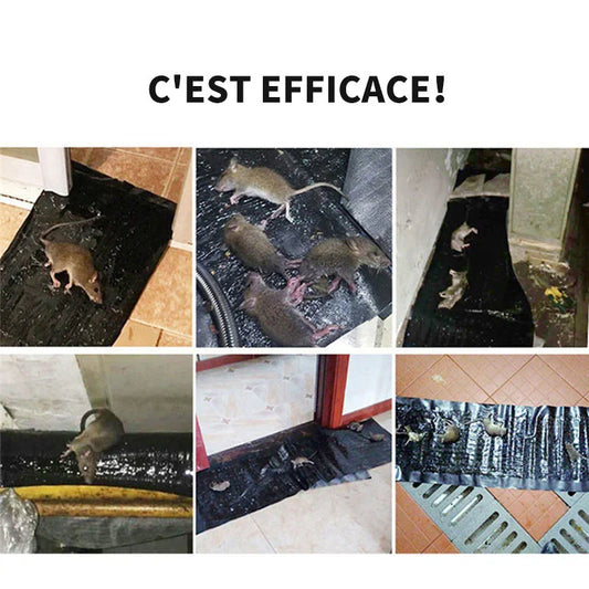 Tapis Pièges Anti-Souris & Rats Ultra-Collants XXL (120 x 28 cm)